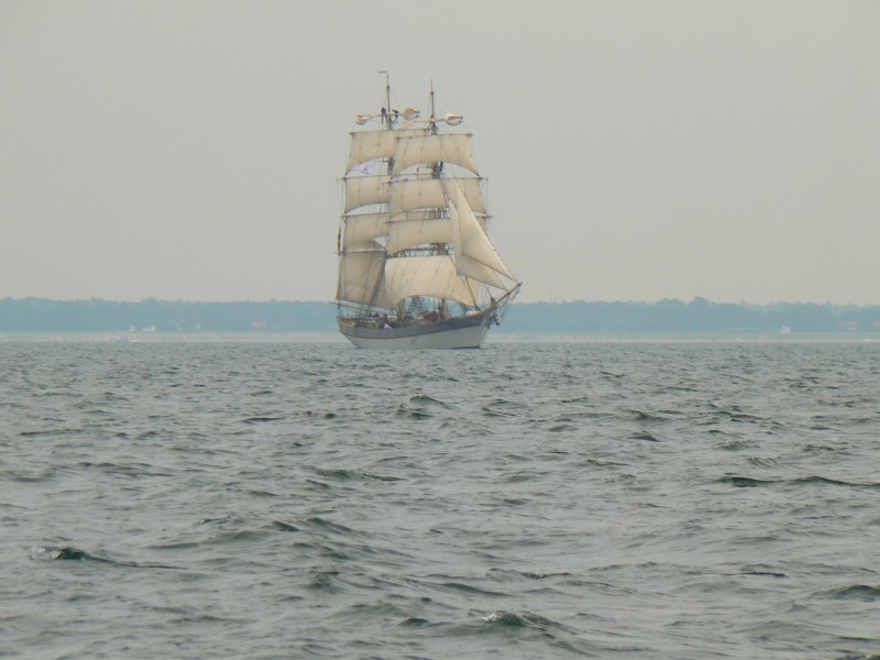 Hanse Sail Segeltörn 2014 24