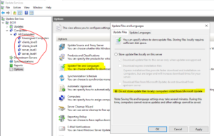 Wsus Installieren 17